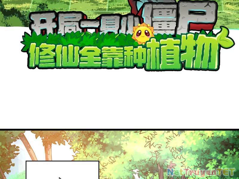 Xuyên Không Đến Thế Giới Tu Chân, Ta Vậy Mà Kích Hoạt Được Hệ Thống Plants vs Zombie Chapter 2 - Trang 3