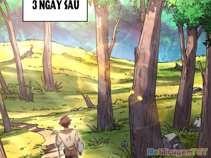 Xuyên Không Đến Thế Giới Tu Chân, Ta Vậy Mà Kích Hoạt Được Hệ Thống Plants vs Zombie Chapter 2 - Trang 3