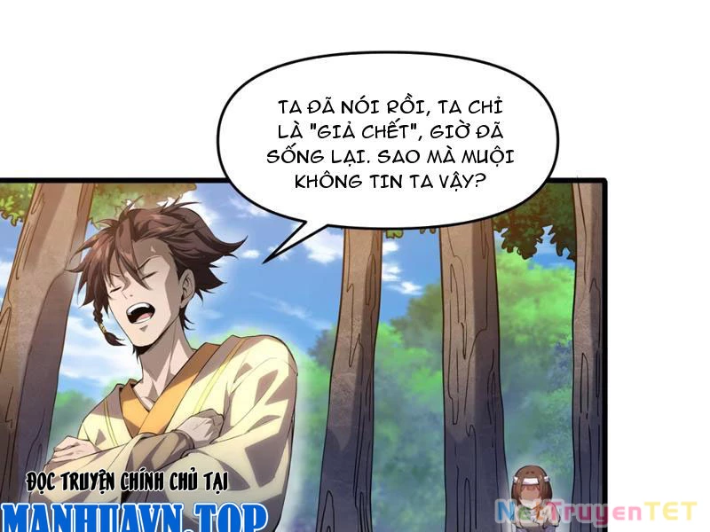Xuyên Không Đến Thế Giới Tu Chân, Ta Vậy Mà Kích Hoạt Được Hệ Thống Plants vs Zombie Chapter 2 - Trang 3