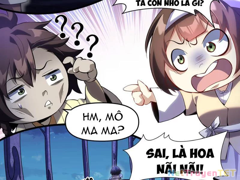 Xuyên Không Đến Thế Giới Tu Chân, Ta Vậy Mà Kích Hoạt Được Hệ Thống Plants vs Zombie Chapter 2 - Trang 3