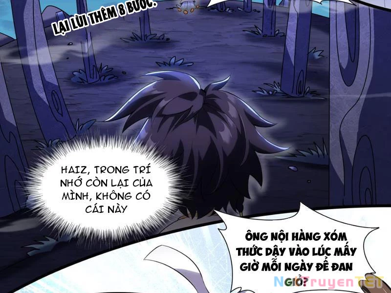 Xuyên Không Đến Thế Giới Tu Chân, Ta Vậy Mà Kích Hoạt Được Hệ Thống Plants vs Zombie Chapter 2 - Trang 3