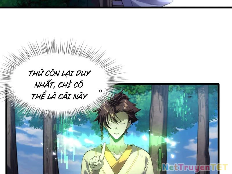 Xuyên Không Đến Thế Giới Tu Chân, Ta Vậy Mà Kích Hoạt Được Hệ Thống Plants vs Zombie Chapter 2 - Trang 3
