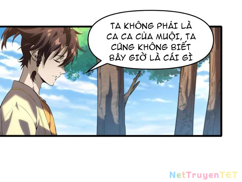Xuyên Không Đến Thế Giới Tu Chân, Ta Vậy Mà Kích Hoạt Được Hệ Thống Plants vs Zombie Chapter 2 - Trang 3