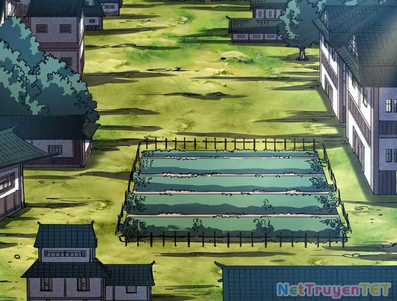 Xuyên Không Đến Thế Giới Tu Chân, Ta Vậy Mà Kích Hoạt Được Hệ Thống Plants vs Zombie Chapter 2 - Trang 3