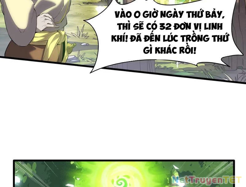 Xuyên Không Đến Thế Giới Tu Chân, Ta Vậy Mà Kích Hoạt Được Hệ Thống Plants vs Zombie Chapter 2 - Trang 3