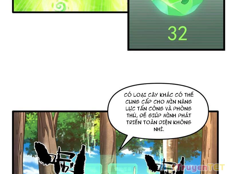 Xuyên Không Đến Thế Giới Tu Chân, Ta Vậy Mà Kích Hoạt Được Hệ Thống Plants vs Zombie Chapter 2 - Trang 3