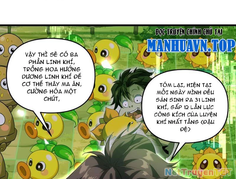 Xuyên Không Đến Thế Giới Tu Chân, Ta Vậy Mà Kích Hoạt Được Hệ Thống Plants vs Zombie Chapter 2 - Trang 3