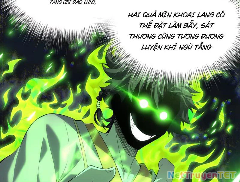 Xuyên Không Đến Thế Giới Tu Chân, Ta Vậy Mà Kích Hoạt Được Hệ Thống Plants vs Zombie Chapter 2 - Trang 3