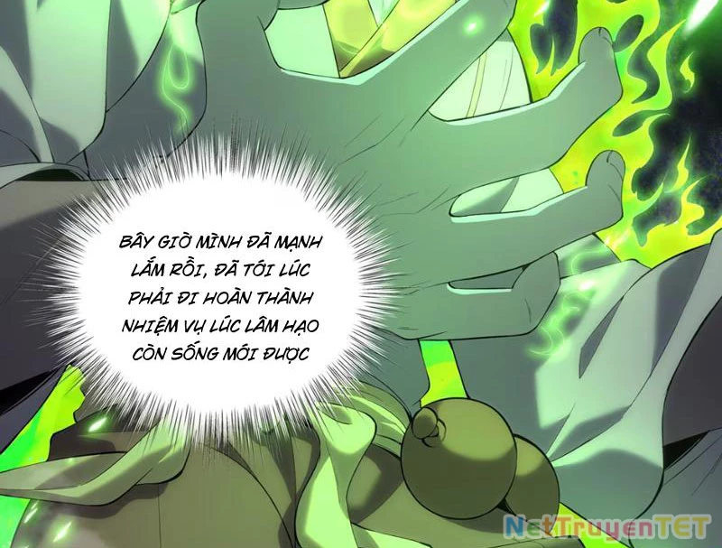 Xuyên Không Đến Thế Giới Tu Chân, Ta Vậy Mà Kích Hoạt Được Hệ Thống Plants vs Zombie Chapter 2 - Trang 3