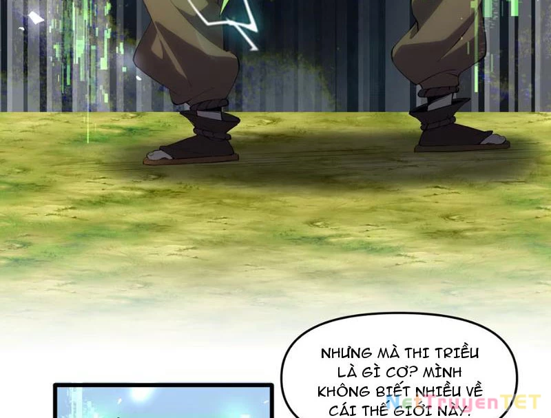 Xuyên Không Đến Thế Giới Tu Chân, Ta Vậy Mà Kích Hoạt Được Hệ Thống Plants vs Zombie Chapter 2 - Trang 3