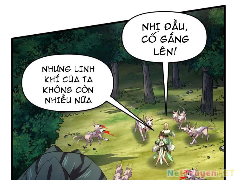 Xuyên Không Đến Thế Giới Tu Chân, Ta Vậy Mà Kích Hoạt Được Hệ Thống Plants vs Zombie Chapter 2 - Trang 3
