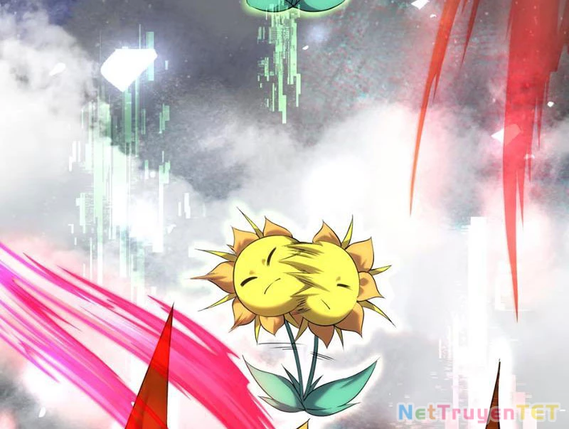 Xuyên Không Đến Thế Giới Tu Chân, Ta Vậy Mà Kích Hoạt Được Hệ Thống Plants vs Zombie Chapter 2 - Trang 3