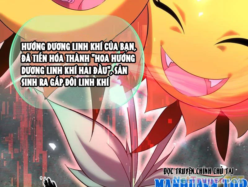 Xuyên Không Đến Thế Giới Tu Chân, Ta Vậy Mà Kích Hoạt Được Hệ Thống Plants vs Zombie Chapter 2 - Trang 3