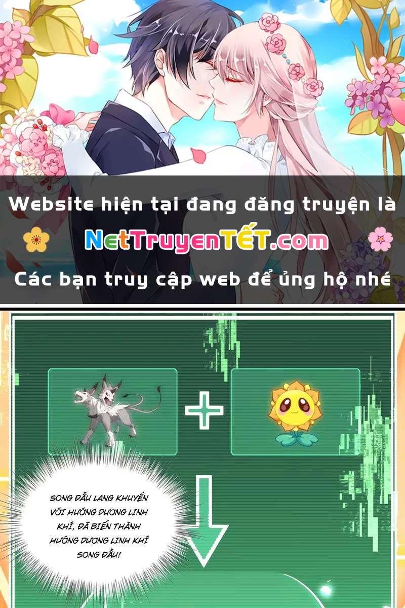 Xuyên Không Đến Thế Giới Tu Chân, Ta Vậy Mà Kích Hoạt Được Hệ Thống Plants vs Zombie Chapter 3 - Trang 3