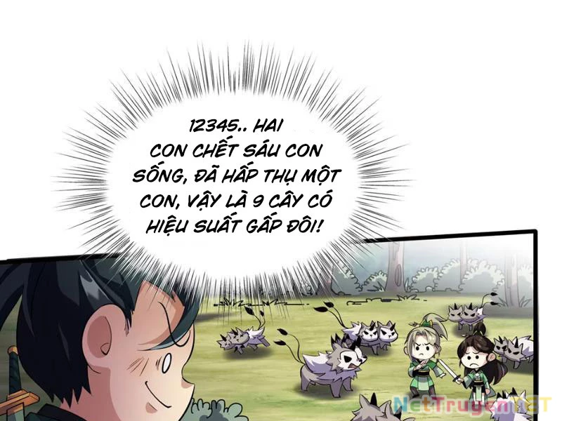 Xuyên Không Đến Thế Giới Tu Chân, Ta Vậy Mà Kích Hoạt Được Hệ Thống Plants vs Zombie Chapter 3 - Trang 3