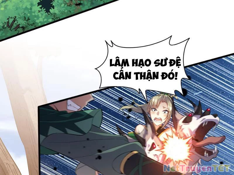 Xuyên Không Đến Thế Giới Tu Chân, Ta Vậy Mà Kích Hoạt Được Hệ Thống Plants vs Zombie Chapter 3 - Trang 3