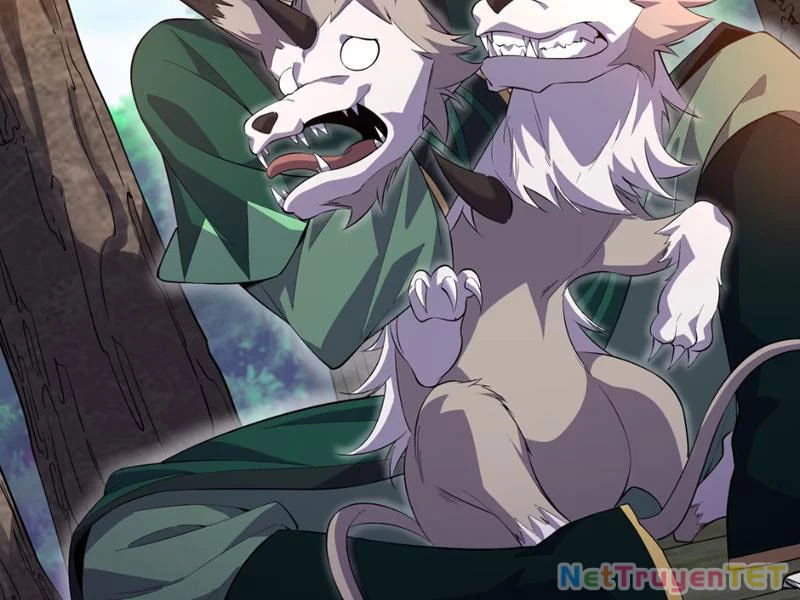 Xuyên Không Đến Thế Giới Tu Chân, Ta Vậy Mà Kích Hoạt Được Hệ Thống Plants vs Zombie Chapter 3 - Trang 3