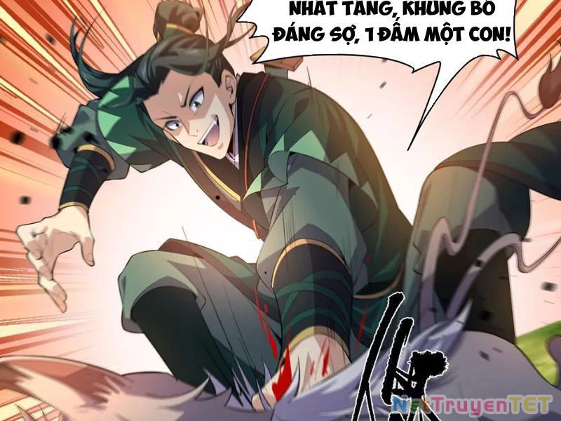 Xuyên Không Đến Thế Giới Tu Chân, Ta Vậy Mà Kích Hoạt Được Hệ Thống Plants vs Zombie Chapter 3 - Trang 3