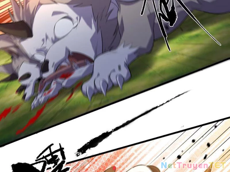 Xuyên Không Đến Thế Giới Tu Chân, Ta Vậy Mà Kích Hoạt Được Hệ Thống Plants vs Zombie Chapter 3 - Trang 3
