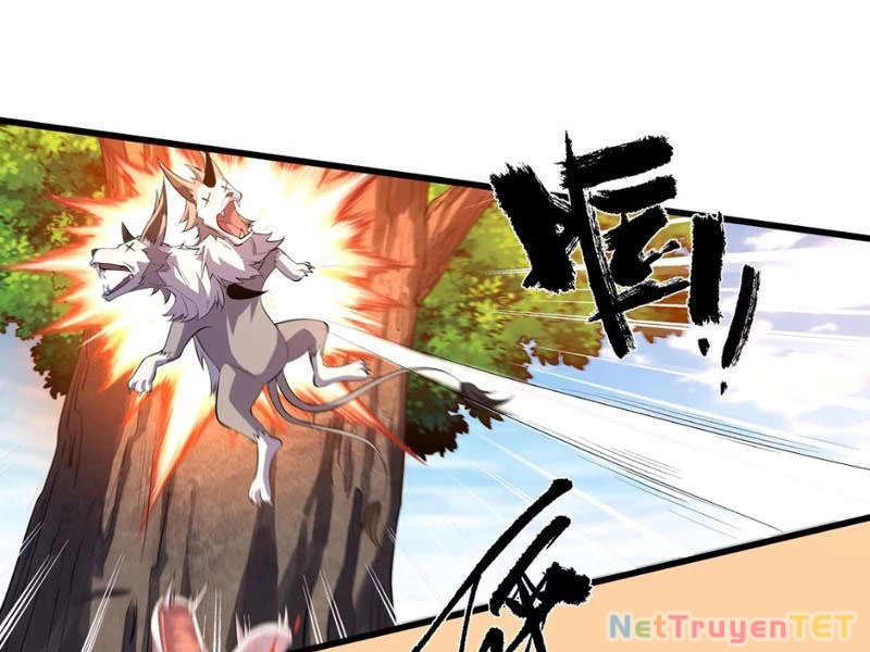 Xuyên Không Đến Thế Giới Tu Chân, Ta Vậy Mà Kích Hoạt Được Hệ Thống Plants vs Zombie Chapter 3 - Trang 3