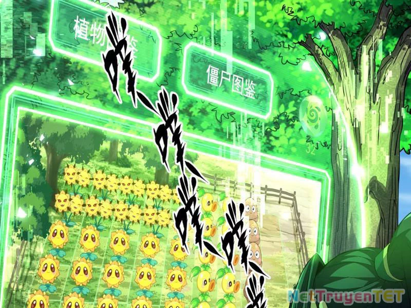 Xuyên Không Đến Thế Giới Tu Chân, Ta Vậy Mà Kích Hoạt Được Hệ Thống Plants vs Zombie Chapter 3 - Trang 3