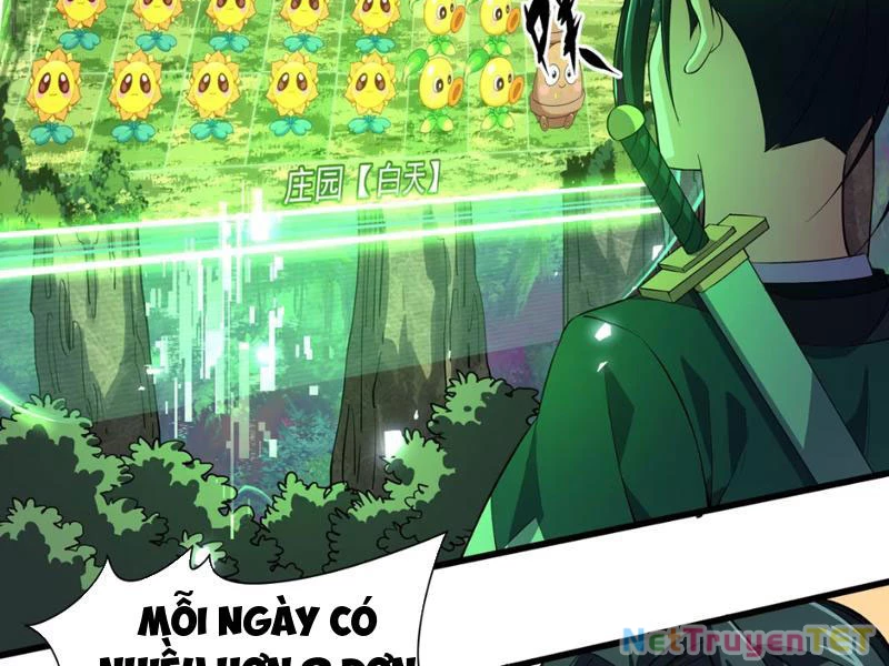 Xuyên Không Đến Thế Giới Tu Chân, Ta Vậy Mà Kích Hoạt Được Hệ Thống Plants vs Zombie Chapter 3 - Trang 3