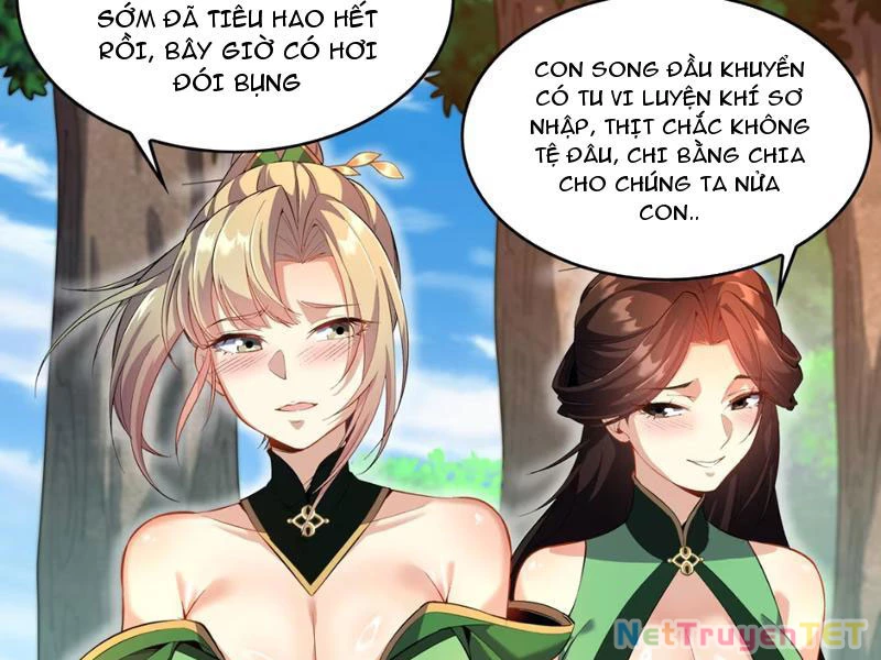 Xuyên Không Đến Thế Giới Tu Chân, Ta Vậy Mà Kích Hoạt Được Hệ Thống Plants vs Zombie Chapter 3 - Trang 3