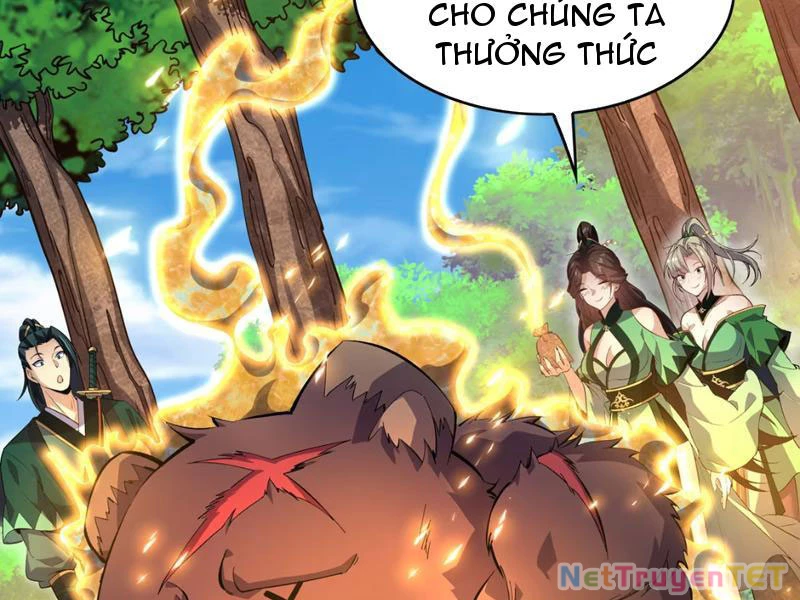 Xuyên Không Đến Thế Giới Tu Chân, Ta Vậy Mà Kích Hoạt Được Hệ Thống Plants vs Zombie Chapter 3 - Trang 3