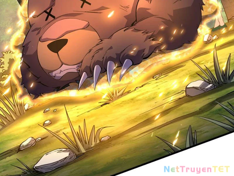 Xuyên Không Đến Thế Giới Tu Chân, Ta Vậy Mà Kích Hoạt Được Hệ Thống Plants vs Zombie Chapter 3 - Trang 3