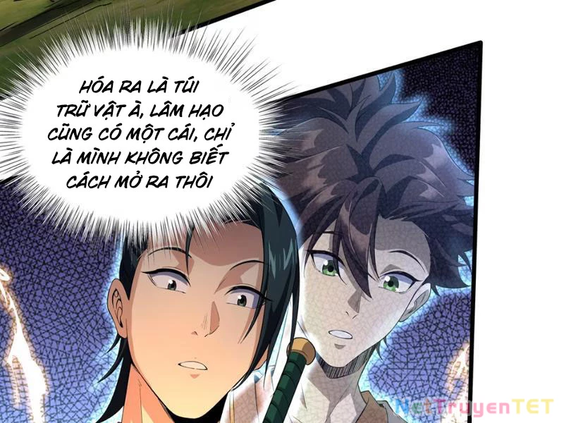 Xuyên Không Đến Thế Giới Tu Chân, Ta Vậy Mà Kích Hoạt Được Hệ Thống Plants vs Zombie Chapter 3 - Trang 3