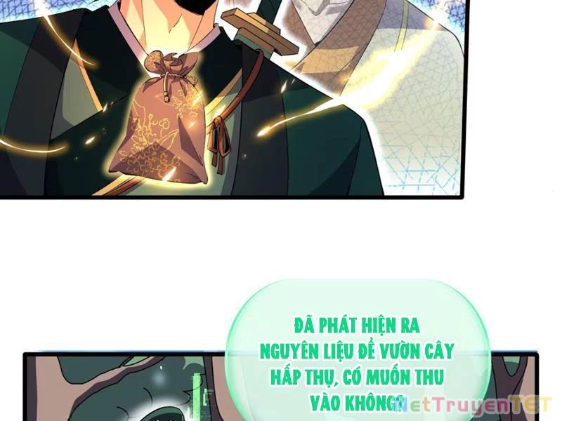 Xuyên Không Đến Thế Giới Tu Chân, Ta Vậy Mà Kích Hoạt Được Hệ Thống Plants vs Zombie Chapter 3 - Trang 3