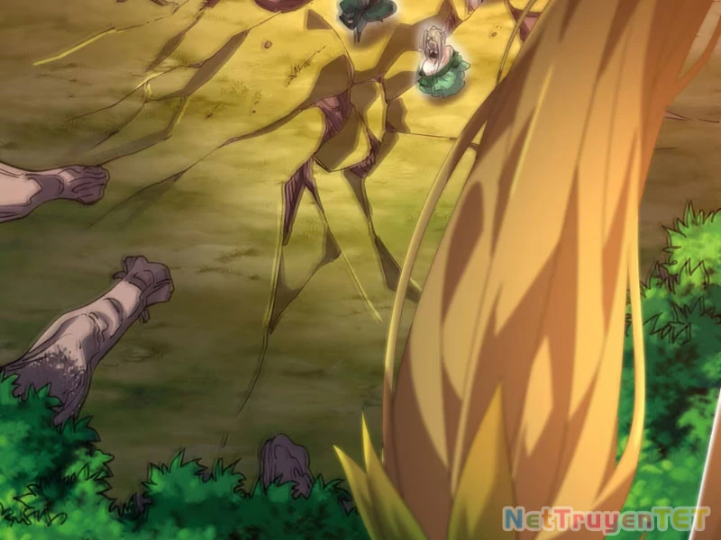 Xuyên Không Đến Thế Giới Tu Chân, Ta Vậy Mà Kích Hoạt Được Hệ Thống Plants vs Zombie Chapter 3 - Trang 3