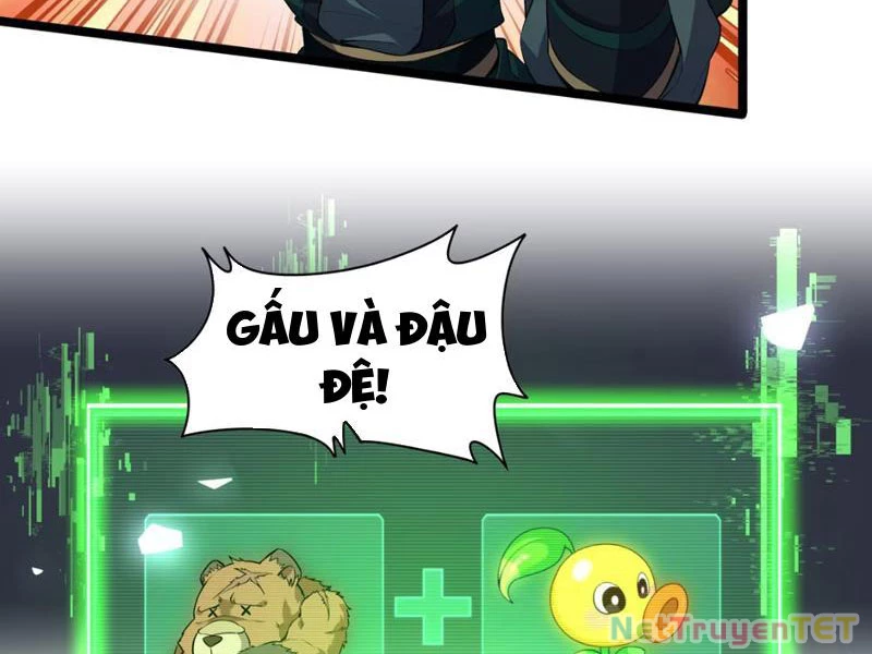 Xuyên Không Đến Thế Giới Tu Chân, Ta Vậy Mà Kích Hoạt Được Hệ Thống Plants vs Zombie Chapter 4 - Trang 3