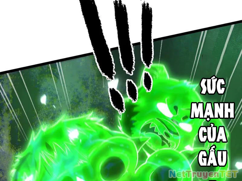 Xuyên Không Đến Thế Giới Tu Chân, Ta Vậy Mà Kích Hoạt Được Hệ Thống Plants vs Zombie Chapter 4 - Trang 3