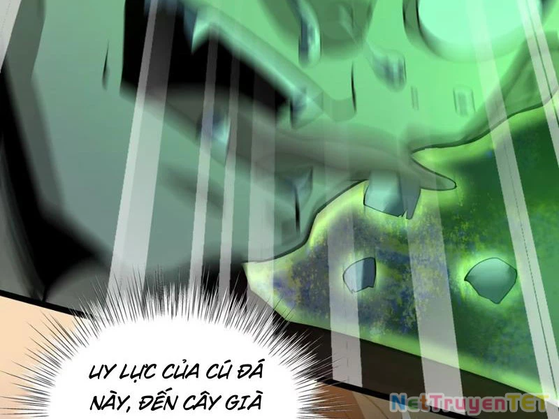 Xuyên Không Đến Thế Giới Tu Chân, Ta Vậy Mà Kích Hoạt Được Hệ Thống Plants vs Zombie Chapter 4 - Trang 3