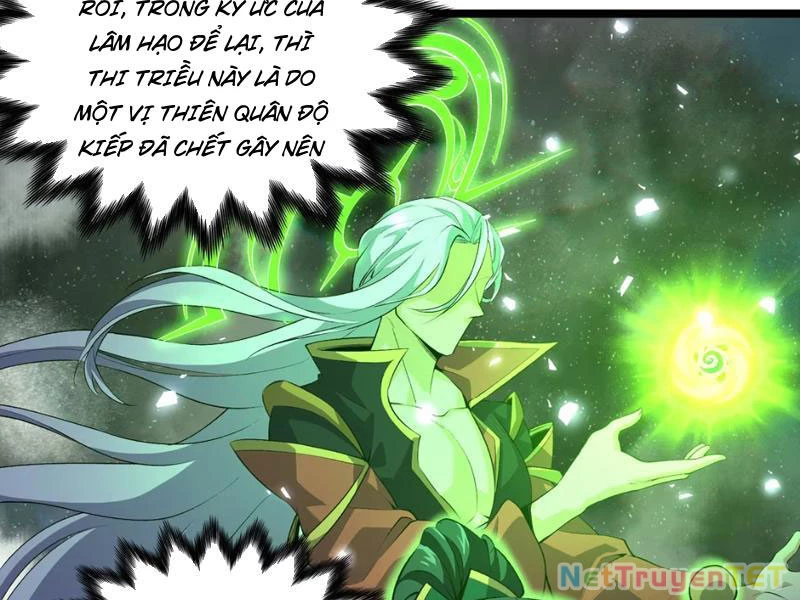 Xuyên Không Đến Thế Giới Tu Chân, Ta Vậy Mà Kích Hoạt Được Hệ Thống Plants vs Zombie Chapter 4 - Trang 3