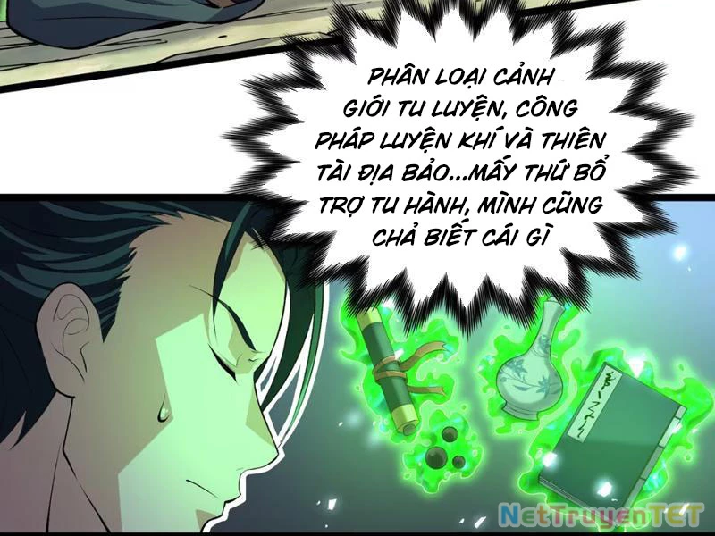 Xuyên Không Đến Thế Giới Tu Chân, Ta Vậy Mà Kích Hoạt Được Hệ Thống Plants vs Zombie Chapter 4 - Trang 3