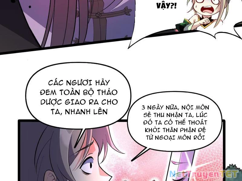 Xuyên Không Đến Thế Giới Tu Chân, Ta Vậy Mà Kích Hoạt Được Hệ Thống Plants vs Zombie Chapter 4 - Trang 3