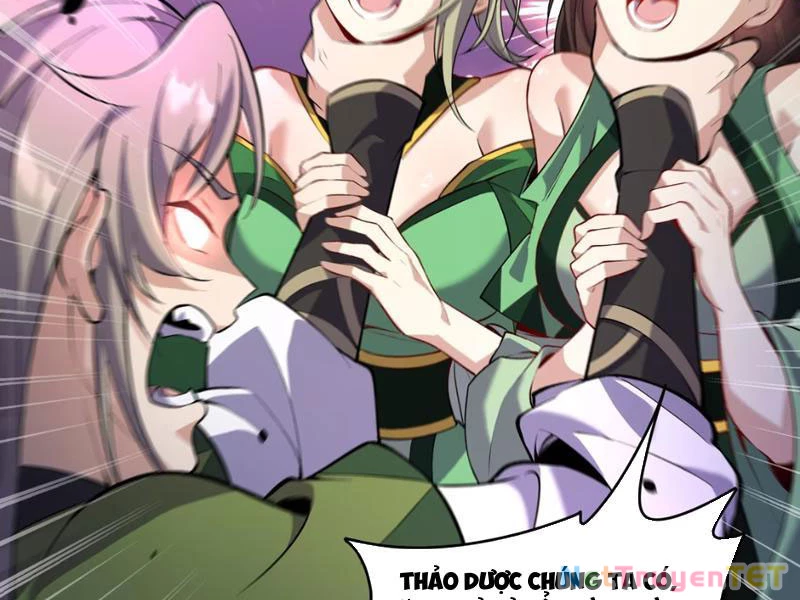 Xuyên Không Đến Thế Giới Tu Chân, Ta Vậy Mà Kích Hoạt Được Hệ Thống Plants vs Zombie Chapter 4 - Trang 3