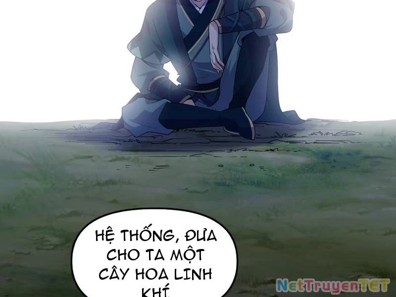 Xuyên Không Đến Thế Giới Tu Chân, Ta Vậy Mà Kích Hoạt Được Hệ Thống Plants vs Zombie Chapter 4 - Trang 3