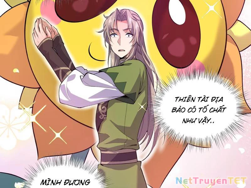 Xuyên Không Đến Thế Giới Tu Chân, Ta Vậy Mà Kích Hoạt Được Hệ Thống Plants vs Zombie Chapter 4 - Trang 3