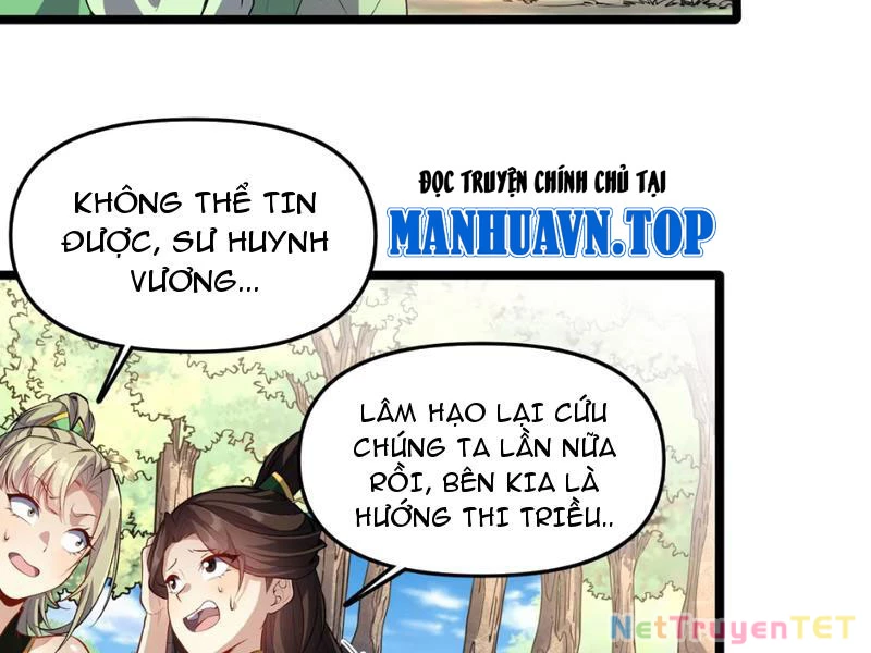 Xuyên Không Đến Thế Giới Tu Chân, Ta Vậy Mà Kích Hoạt Được Hệ Thống Plants vs Zombie Chapter 4 - Trang 3