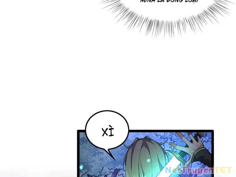 Xuyên Không Đến Thế Giới Tu Chân, Ta Vậy Mà Kích Hoạt Được Hệ Thống Plants vs Zombie Chapter 5 - Trang 3