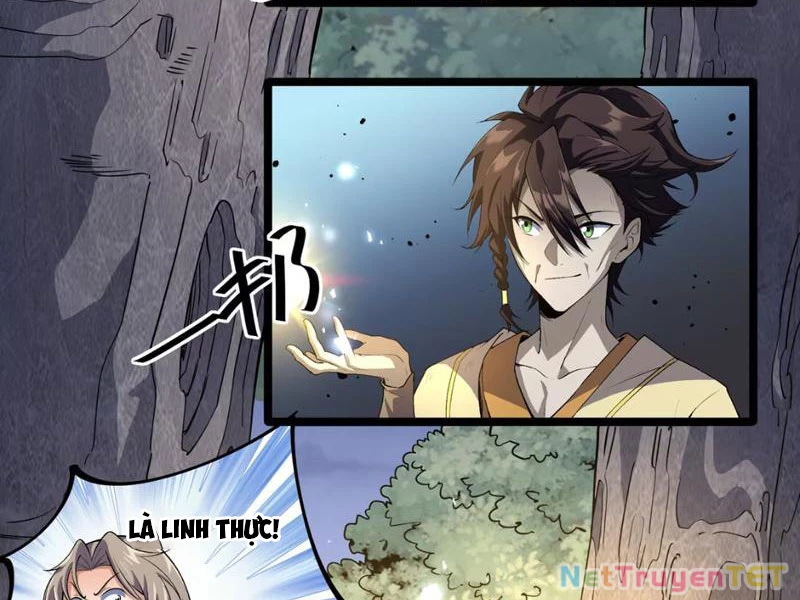 Xuyên Không Đến Thế Giới Tu Chân, Ta Vậy Mà Kích Hoạt Được Hệ Thống Plants vs Zombie Chapter 5 - Trang 3