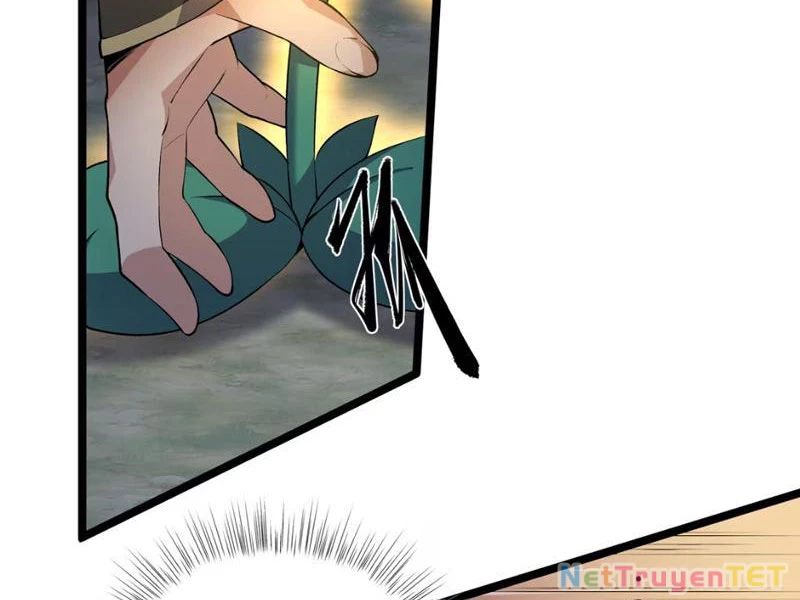 Xuyên Không Đến Thế Giới Tu Chân, Ta Vậy Mà Kích Hoạt Được Hệ Thống Plants vs Zombie Chapter 5 - Trang 3