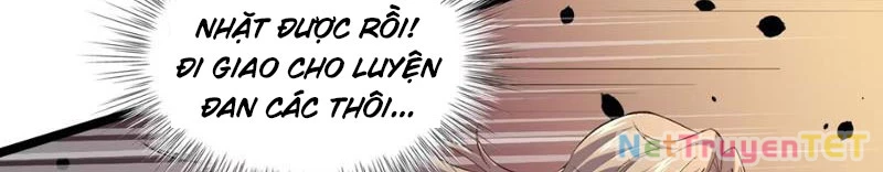 Xuyên Không Đến Thế Giới Tu Chân, Ta Vậy Mà Kích Hoạt Được Hệ Thống Plants vs Zombie Chapter 5 - Trang 3