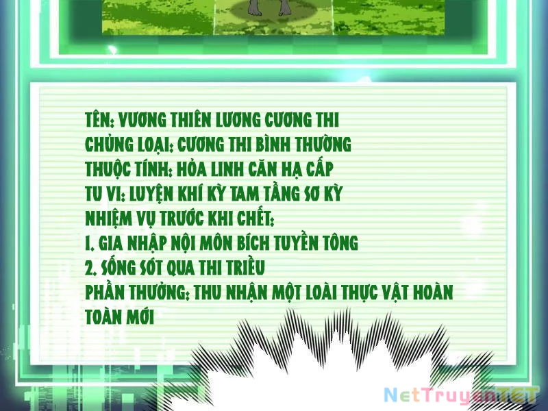 Xuyên Không Đến Thế Giới Tu Chân, Ta Vậy Mà Kích Hoạt Được Hệ Thống Plants vs Zombie Chapter 5 - Trang 3
