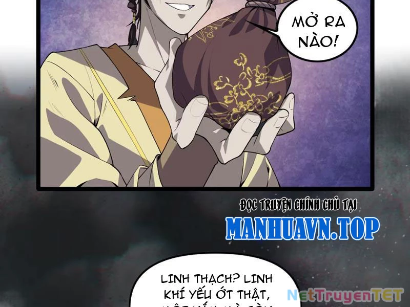 Xuyên Không Đến Thế Giới Tu Chân, Ta Vậy Mà Kích Hoạt Được Hệ Thống Plants vs Zombie Chapter 5 - Trang 3
