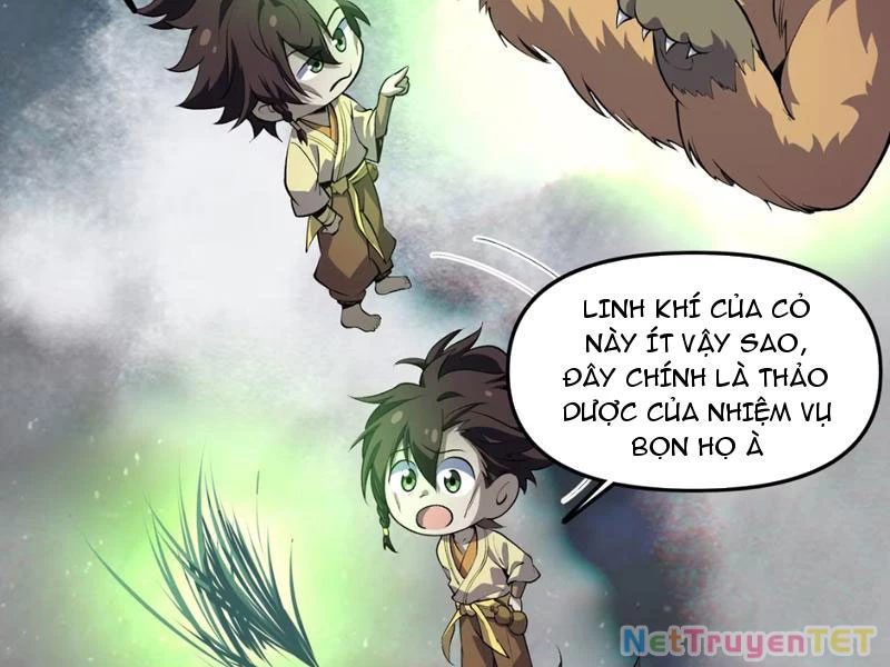 Xuyên Không Đến Thế Giới Tu Chân, Ta Vậy Mà Kích Hoạt Được Hệ Thống Plants vs Zombie Chapter 5 - Trang 3