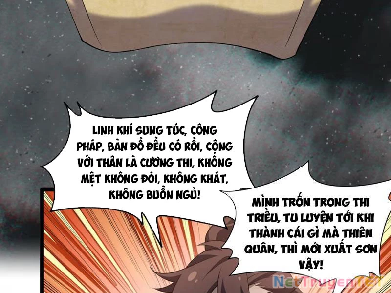 Xuyên Không Đến Thế Giới Tu Chân, Ta Vậy Mà Kích Hoạt Được Hệ Thống Plants vs Zombie Chapter 5 - Trang 3